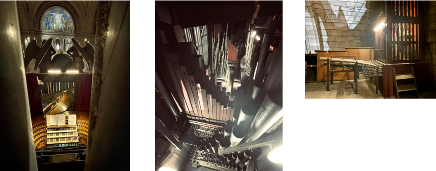 Photos : Jorris Sauquet